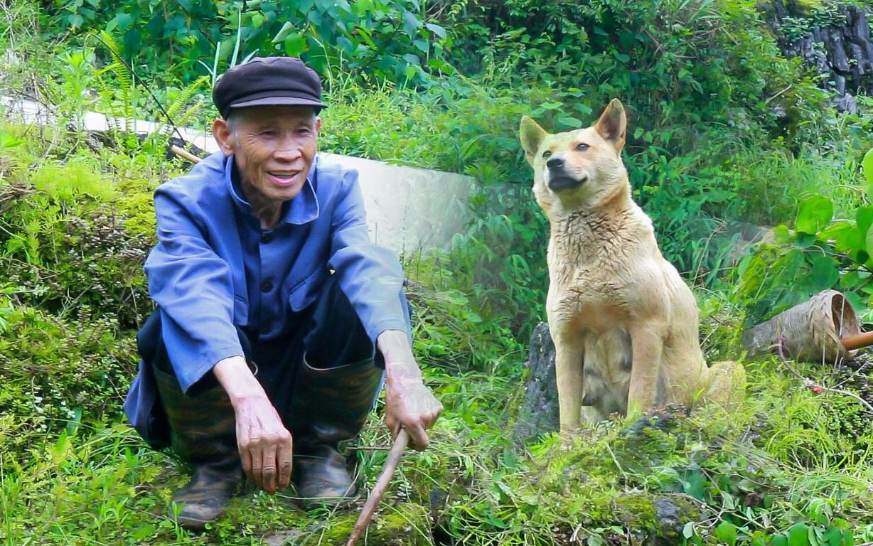 【家犬520】你养我长大,我陪你变老哔哩哔哩bilibili