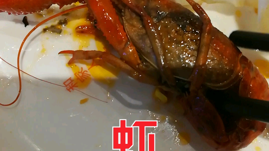 【废虾】公开处刑