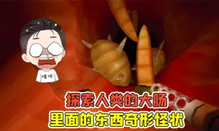 Скачать видео: 探索人类的大肠？里面的东西奇形怪状，实在太下饭了！