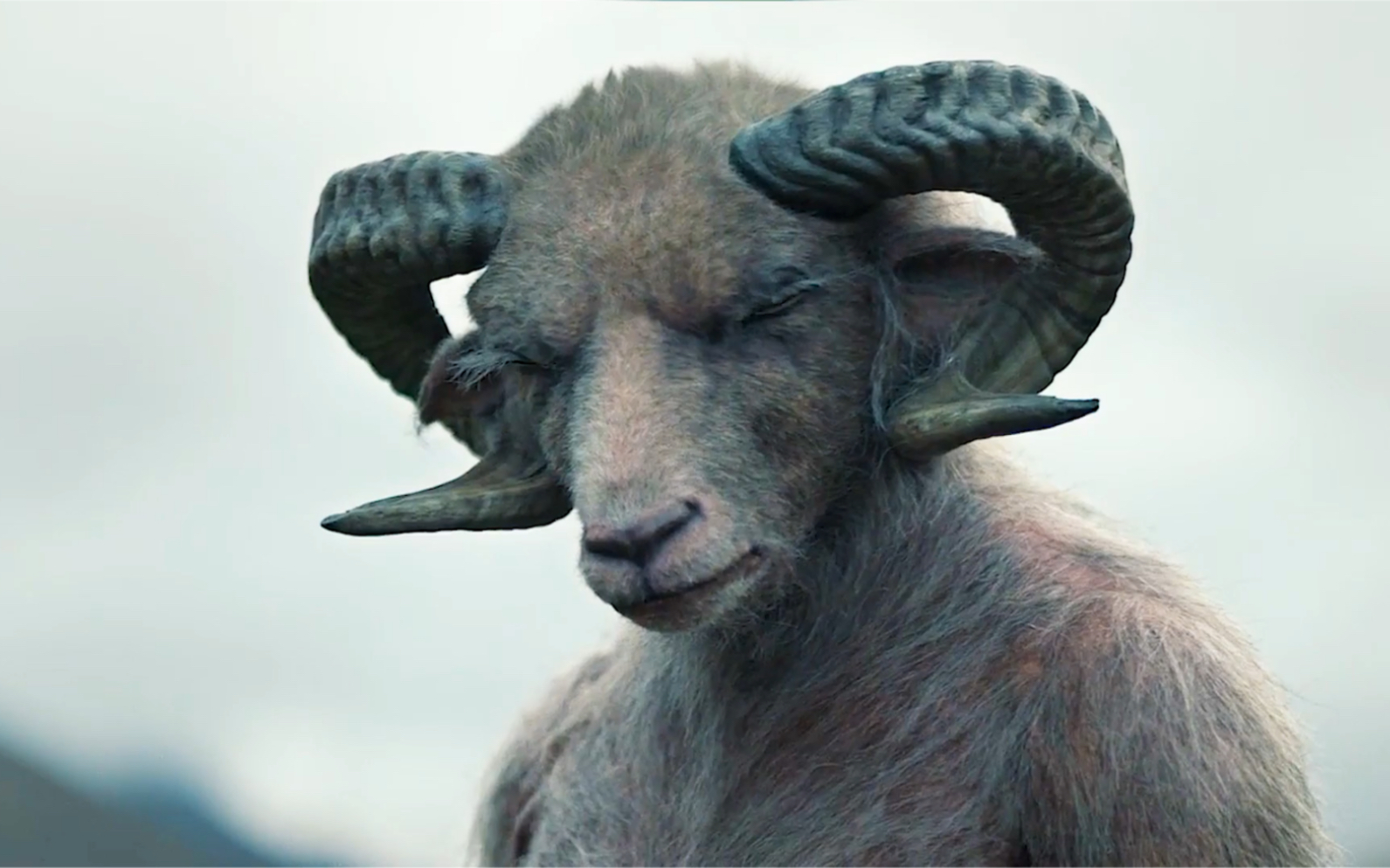 活动  女人抢夺羊头怪幼崽,家人遭来杀身之祸,羊崽