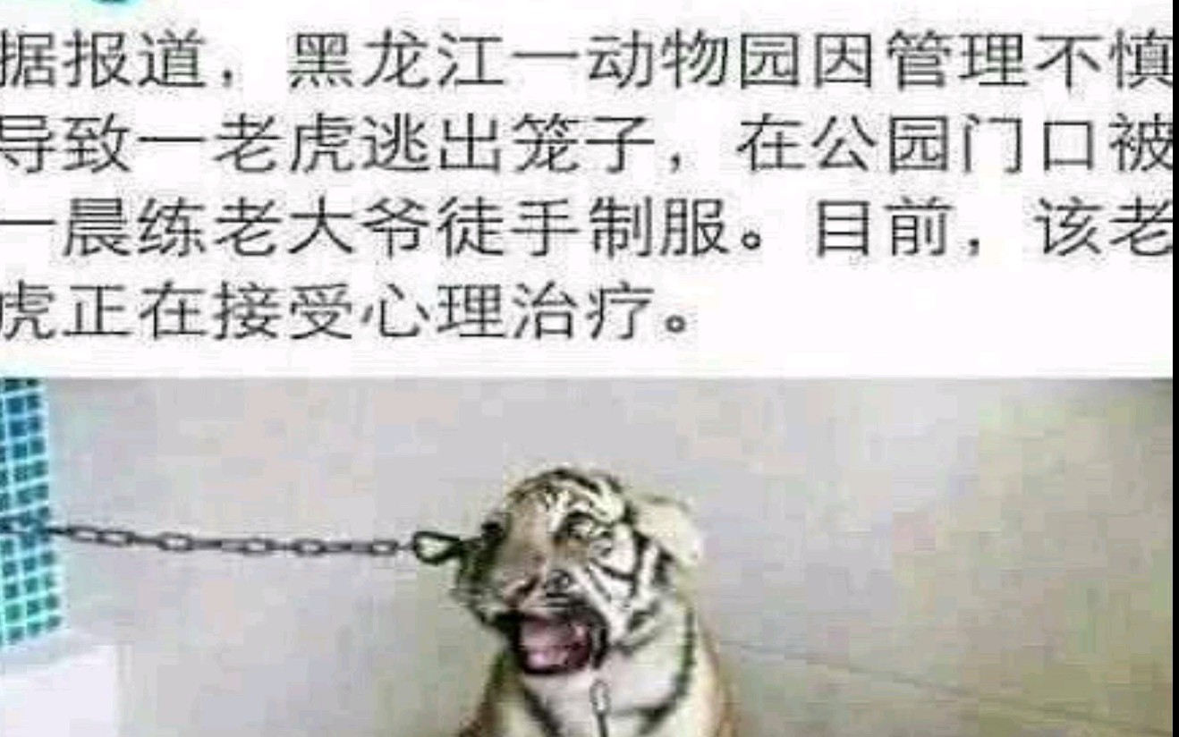 那些有毒毒笑出鹅叫的沙雕图,你大爷终究还是你大爷哔哩哔哩bilibili