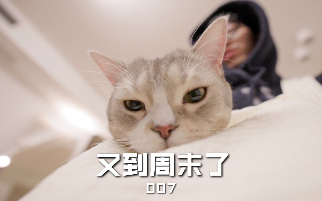 过年好又到周末了07