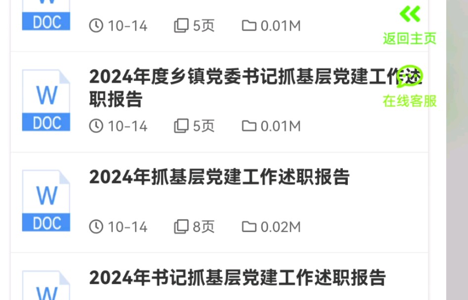 2024年抓党建工作述职报告哔哩哔哩bilibili