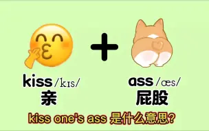 Скачать видео: kiss是“亲”，ass是“屁股”，那 kiss one's ass 是啥意思？