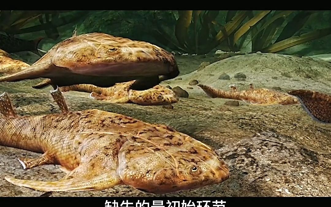 人类的祖先是鱼