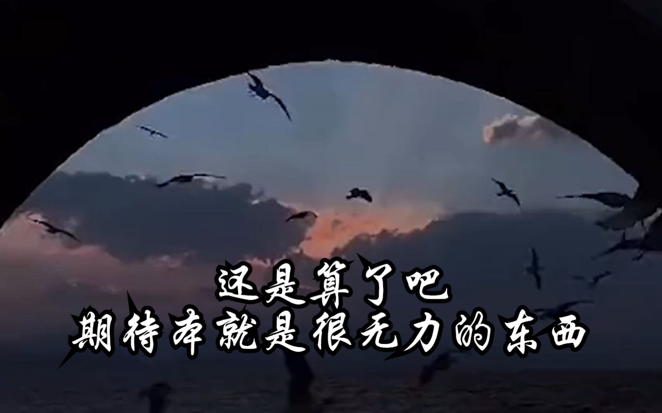 还是算了吧,期待本就是很无力的东西!