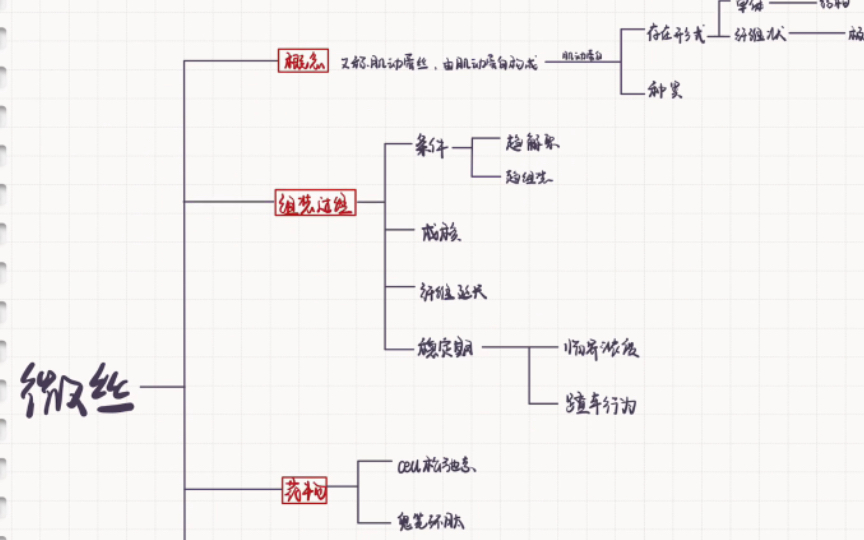 自用背书:微丝的知识点框架哔哩哔哩bilibili