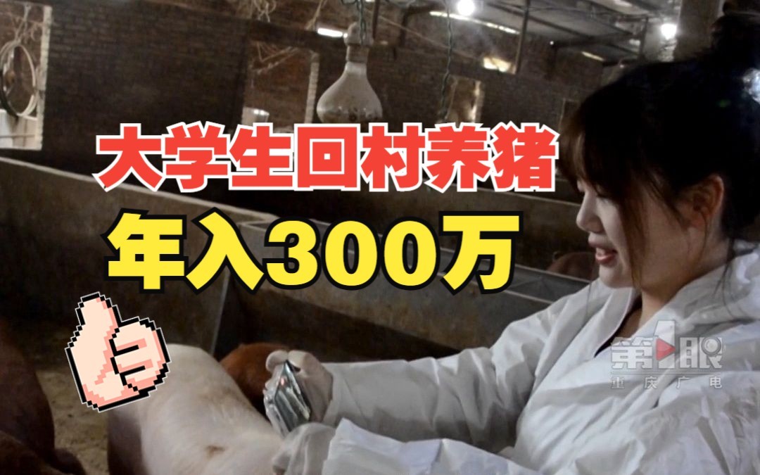 重庆00后大学生回村养猪年入300万哔哩哔哩bilibili