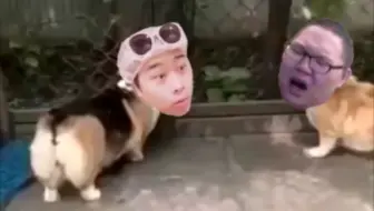 是什么让鸡脖三河啊啊大叫 让岂学长痛哭流涕 哔哩哔哩 Bilibili