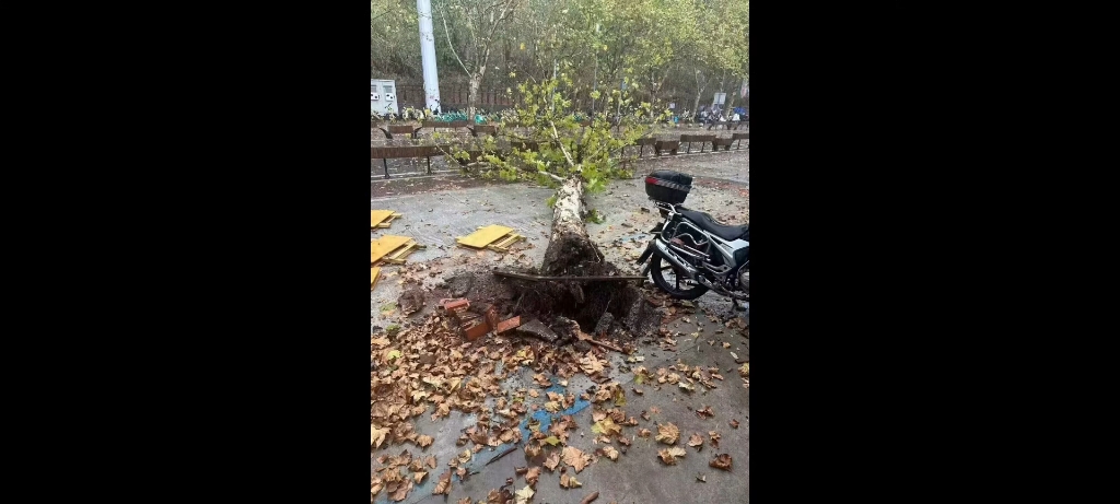 [图]感谢重庆市政的31发催雨火箭，重大差点就要毁了😂