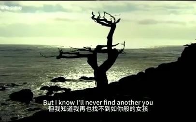 欧美经典民谣《I'll Never Find Another You》#英文歌#英文神曲 #欧美金曲哔哩哔哩bilibili