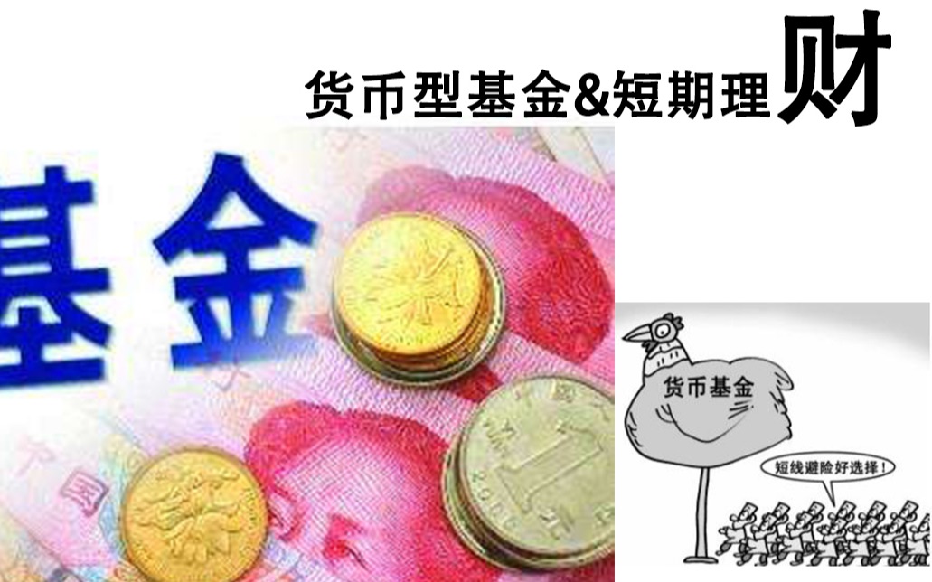 货币型基金 &短期理财 短期避险基金,稳定保值哔哩哔哩bilibili