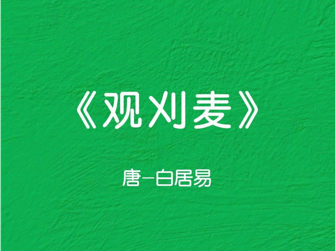 「又是一年麦收季,风吹麦浪,布谷声声,一起看看诗魔笔下的麦收把!」《观刈麦》唐白居易哔哩哔哩bilibili