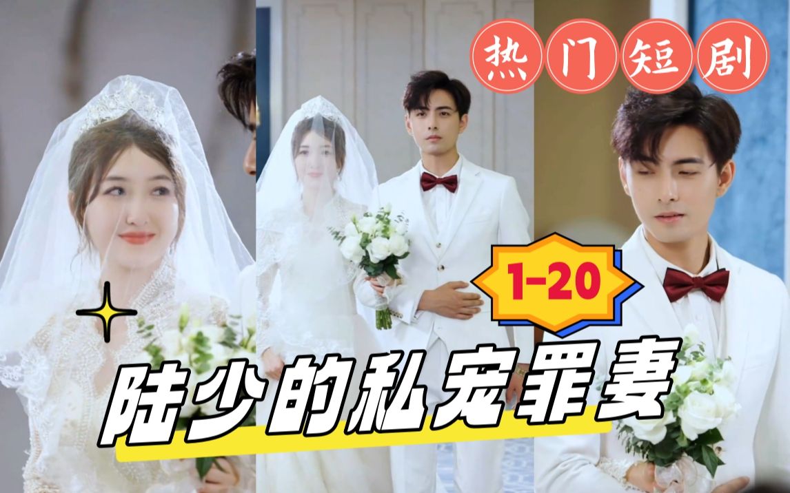 [图]1-20集《陆少的私宠罪妻》陆寒廷 安清浅 一个关于爱与仇之间的都市爱情故事。