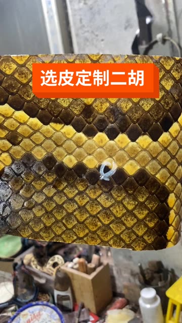 专业制作维修定制二胡,传统手工制作工艺