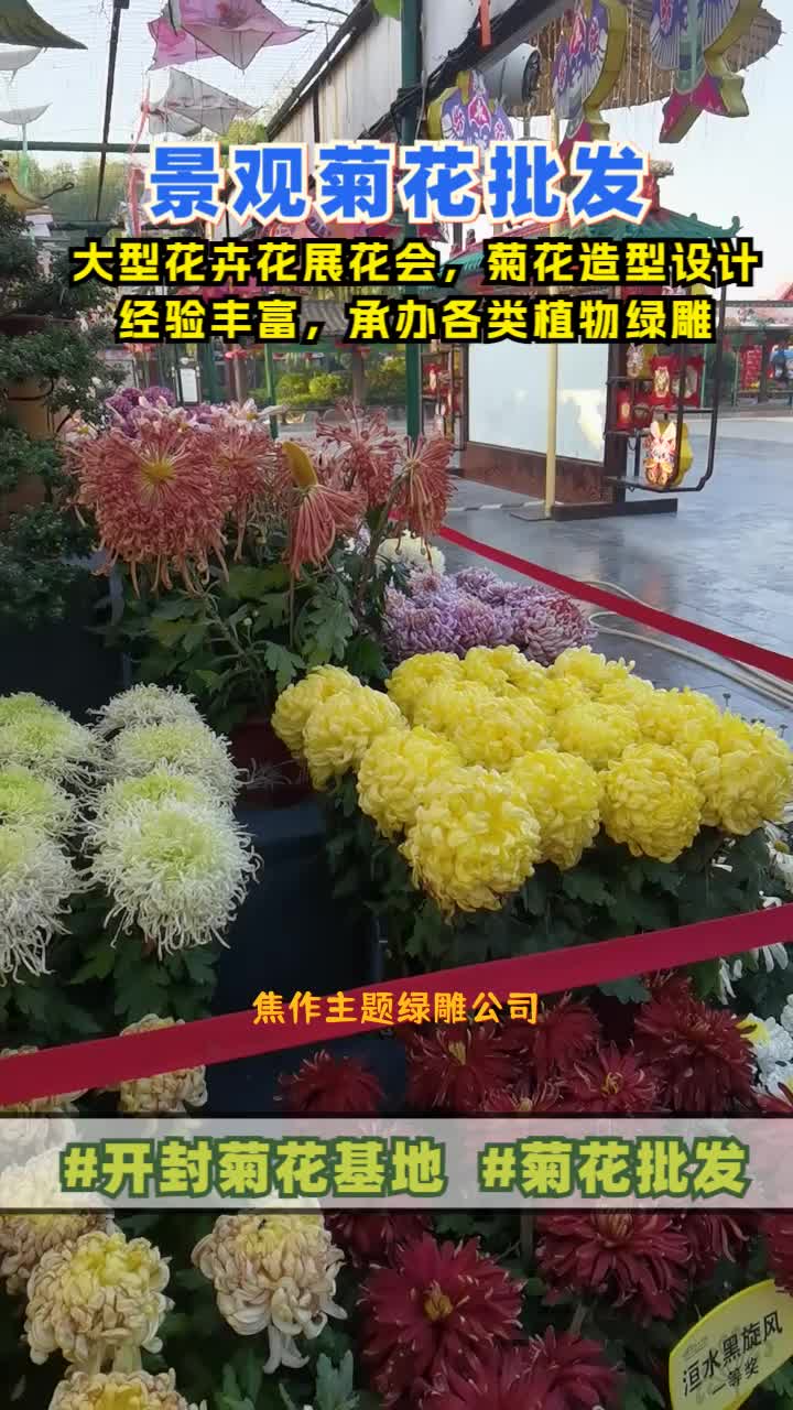 焦作主题绿雕公司,绿雕,仿真绿雕,找景茂,河南菊花展布展设计厂家,可承接大型花卉花展花会,菊花造型设计,承办各类植物绿雕,有兴趣的老板,...