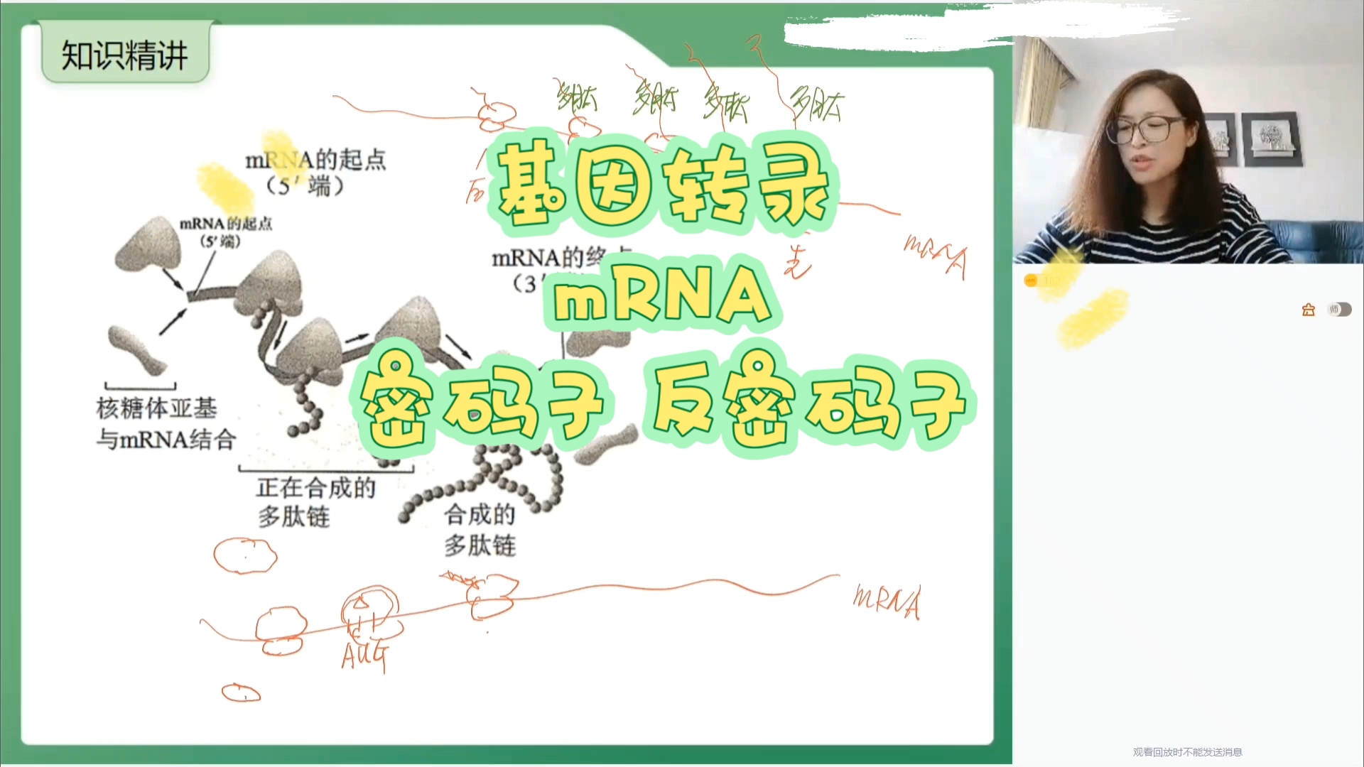 基因表达〗基因转录 mrna密码子 反密码子