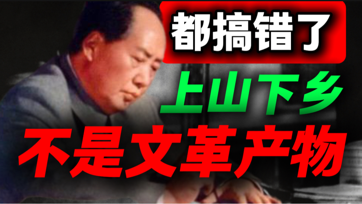 读懂上山下乡：学会一套分析政策底层逻辑的思考方法｜第86期｜毛选解读｜毛选思维｜伟人思想