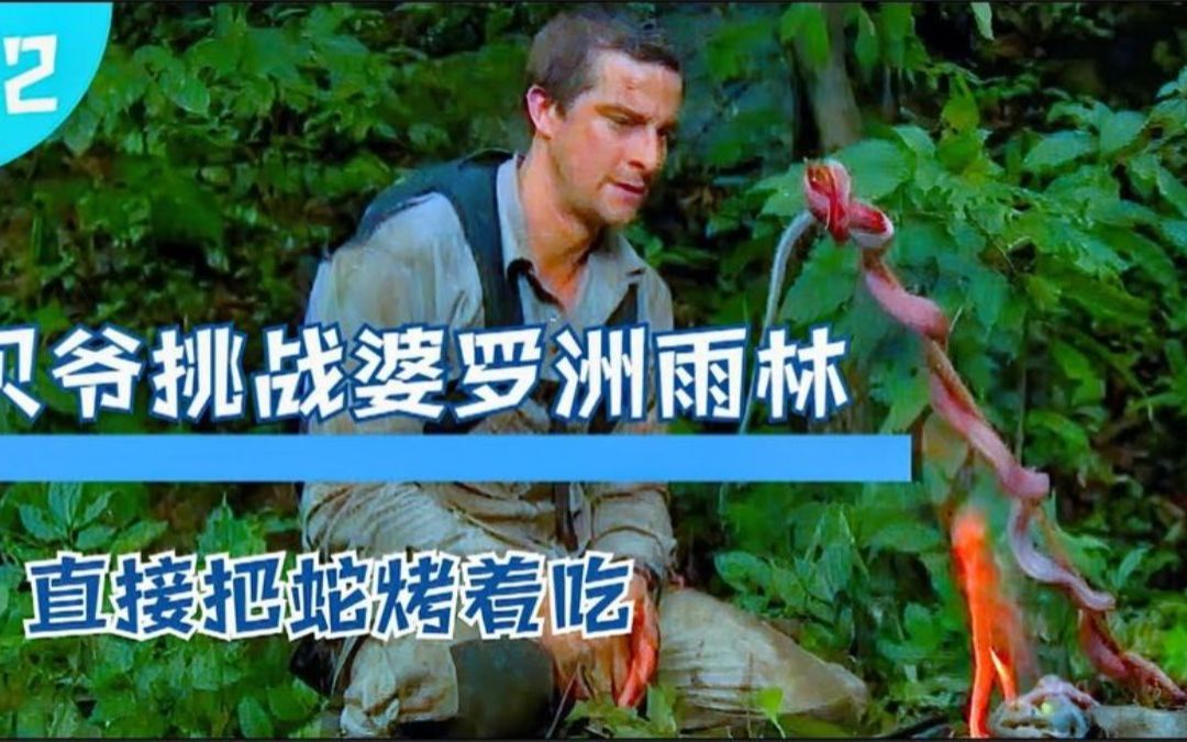 贝爷挑战婆罗洲雨林被蛇咬伤直接把蛇烤着吃了