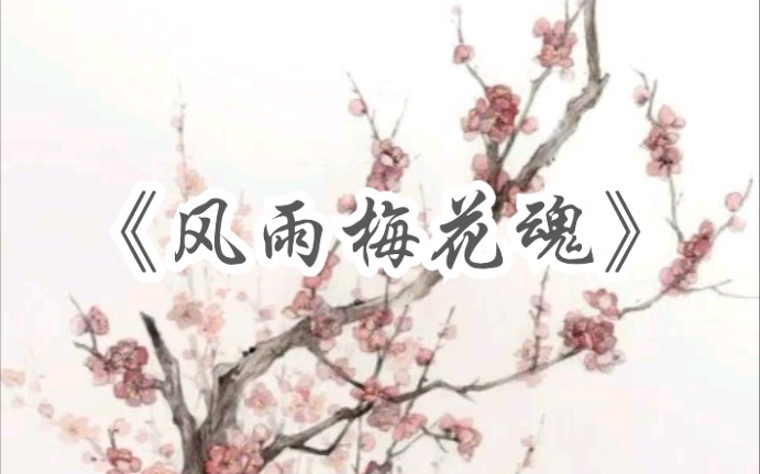 [图]【粤曲收藏】《风雨梅花魂》_我猜是苏春梅）自制自用收藏粤曲欣赏