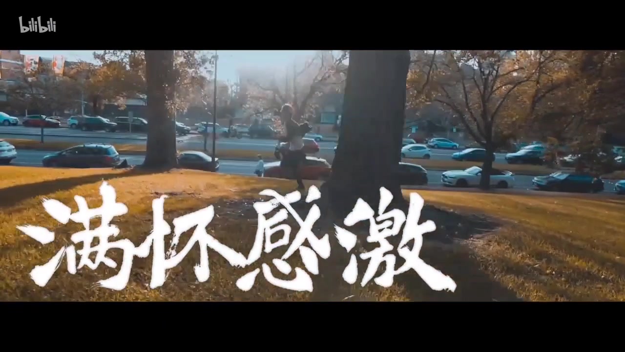 bilibili献给新一代的演讲《后浪》(字幕补充版)