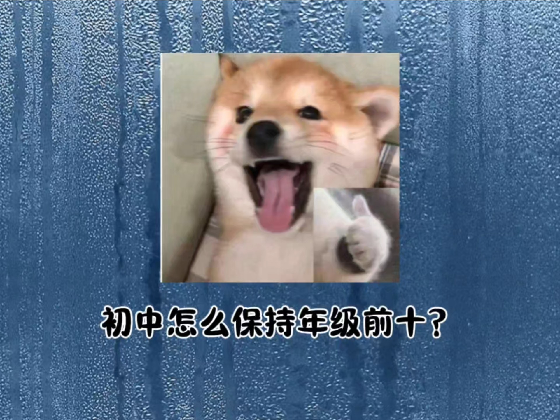 七升八：准初二想要保持年级前十的强度‼️的简单介绍