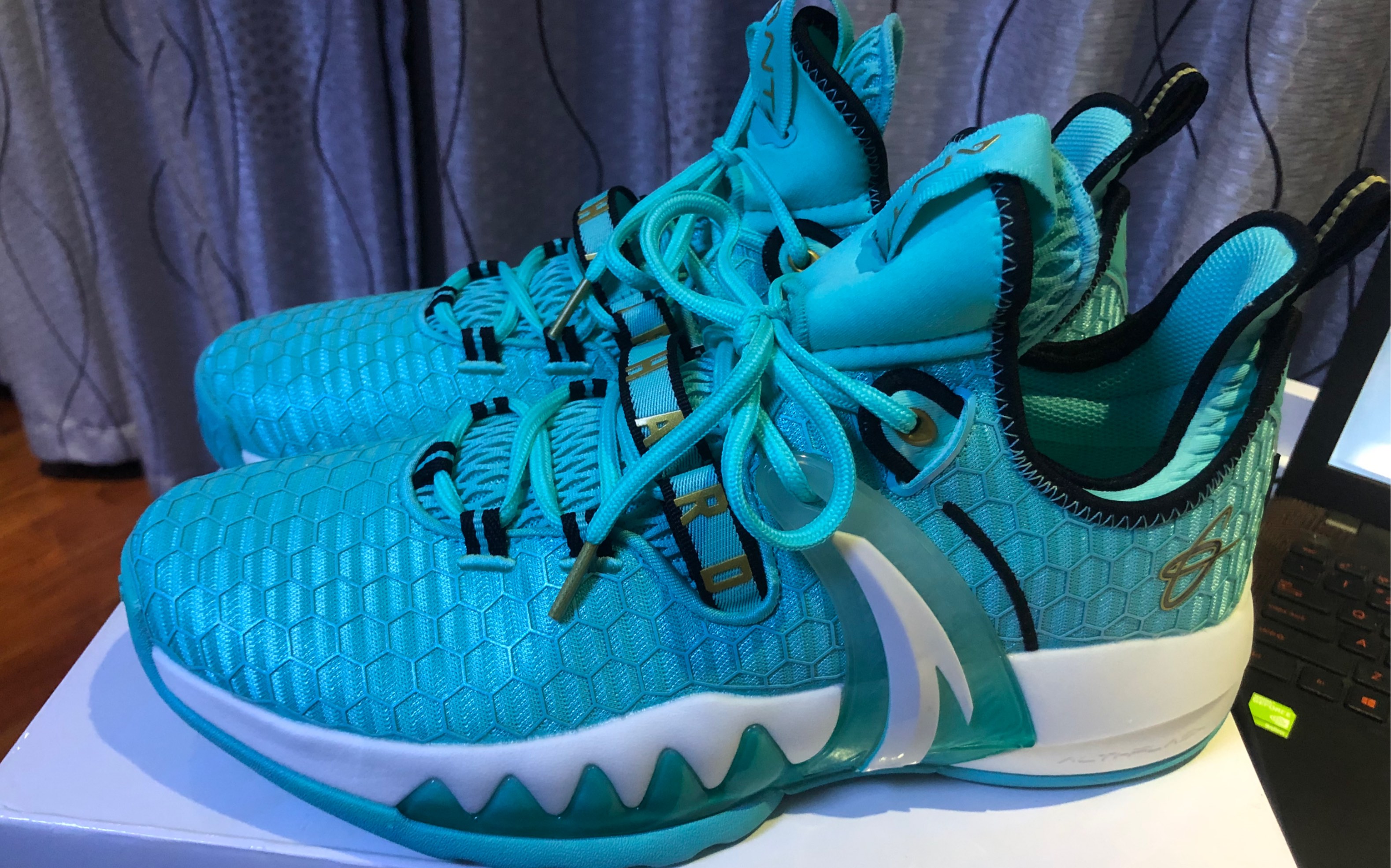 海沃德2黄蜂开箱