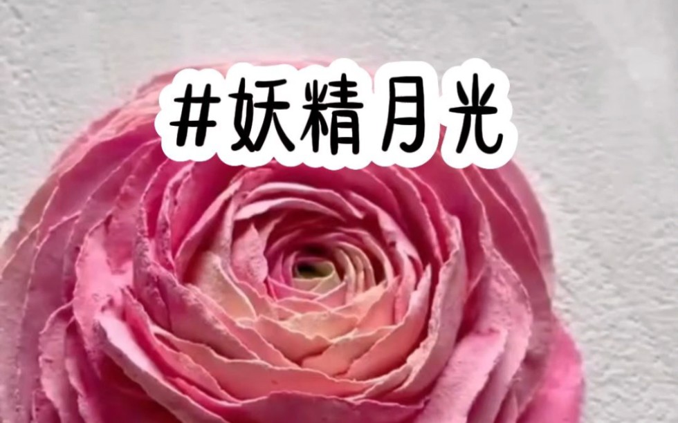 《妖精月光》他爱我入骨,把我锁在家里日日宠爱,前世我无法理解,一次