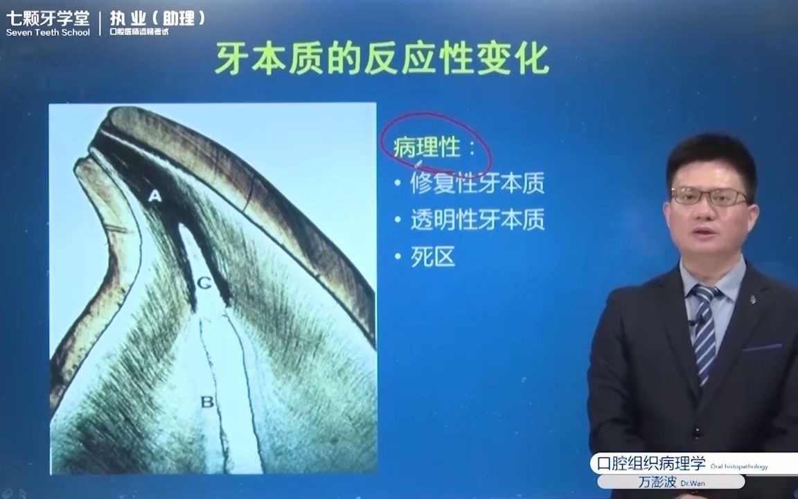 口组修复性牙本质七颗牙学堂精品课程