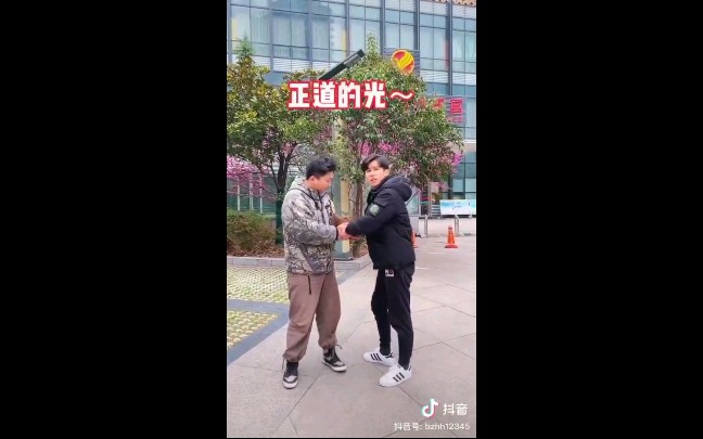 种豆得瓜合集哔哩哔哩bilibili