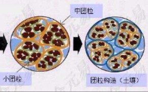 一种适宜种植的优质土壤结构:团粒结构哔哩哔哩bilibili