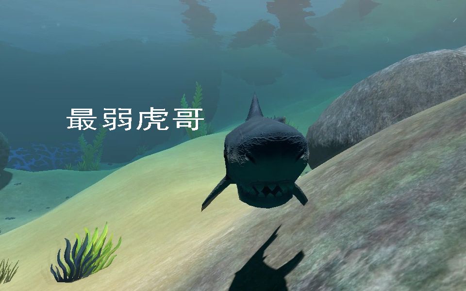 [图]远古版本虎鲨【海底大猎杀】