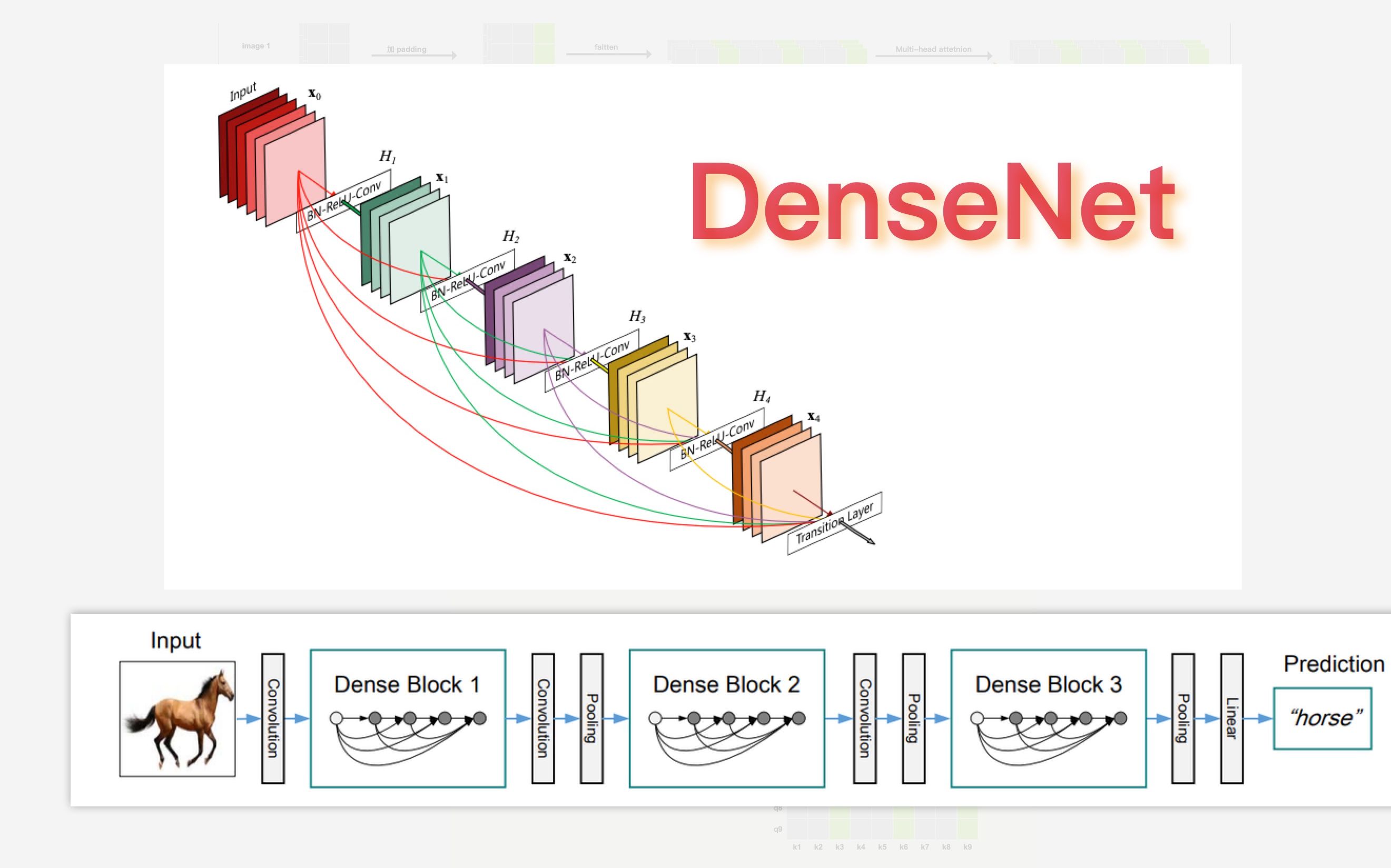 DenseNet哔哩哔哩bilibili