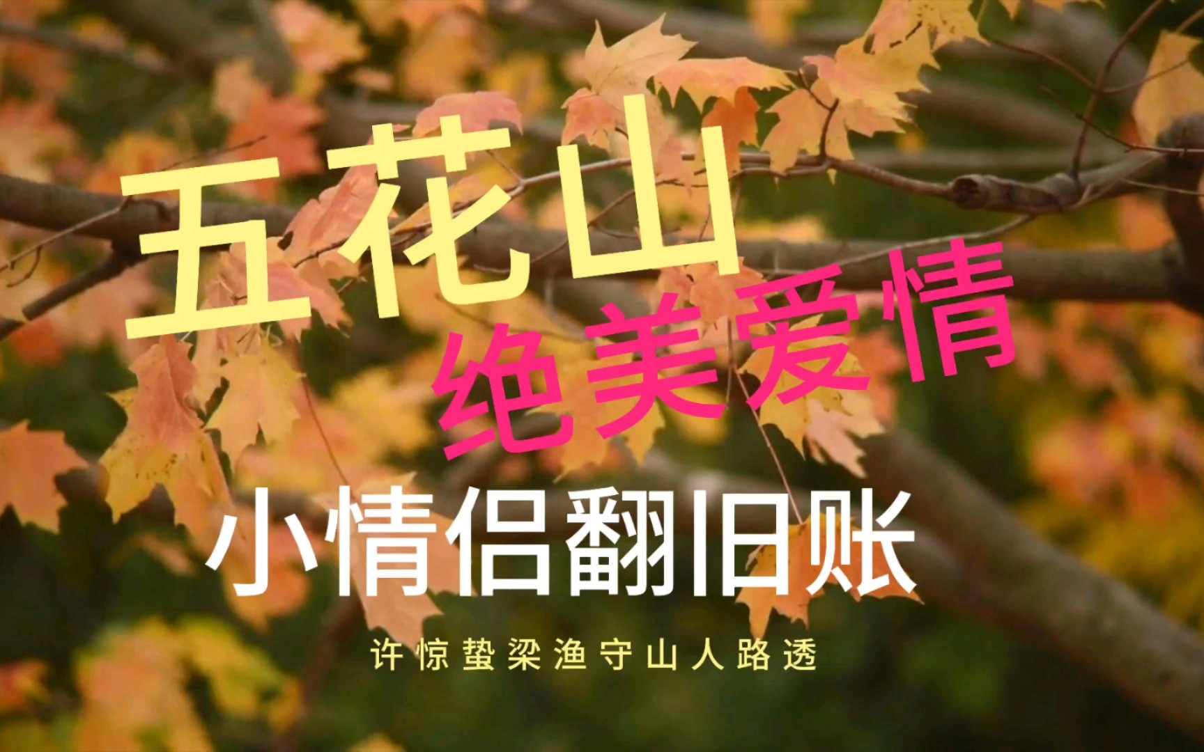 【有名广播剧】鱼水之欢,东北文旅也爱听的爱情小故事哔哩哔哩bilibili