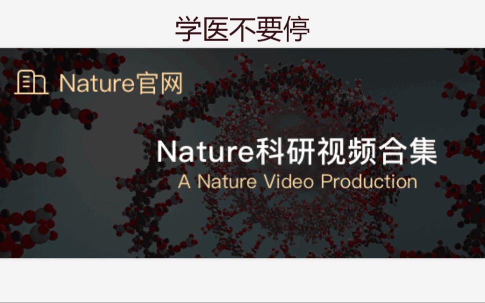 【Nature】| 免疫系统如何破坏肿瘤细胞以及最新免疫疗法!哔哩哔哩bilibili