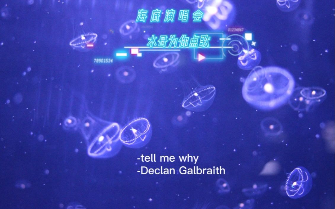 [图]海底演唱会——tell me why