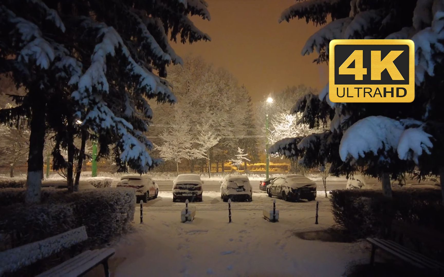 [图]【4K】冬日漫步：雪花飘舞，心灵自由