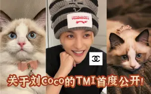 Download Video: 【劉揚揚】關於小貓Coco的TMI｜名字由來｜與路易貝拉初見面的故事