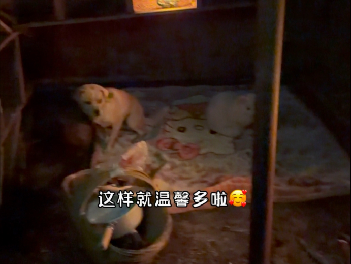 希游记19 临时落脚点