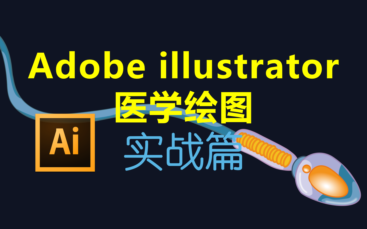 【Adobe illustrator医学绘图】实战篇03期,精子细胞,结构示意图20211125哔哩哔哩bilibili