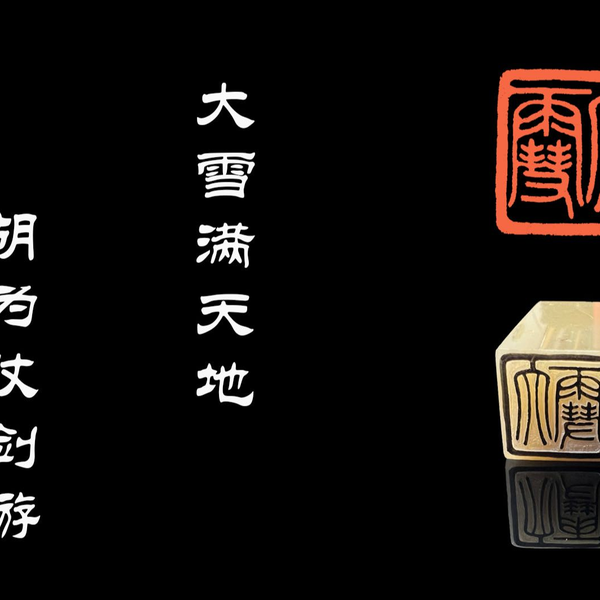 印章篆刻】二十四节气——大雪满天地，胡为仗剑游~_哔哩哔哩_bilibili