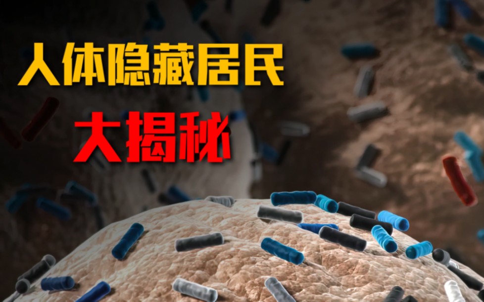 [图]微生物如何影响我们的生活？身体的“隐形守护者”：揭秘微生物的神奇世界！