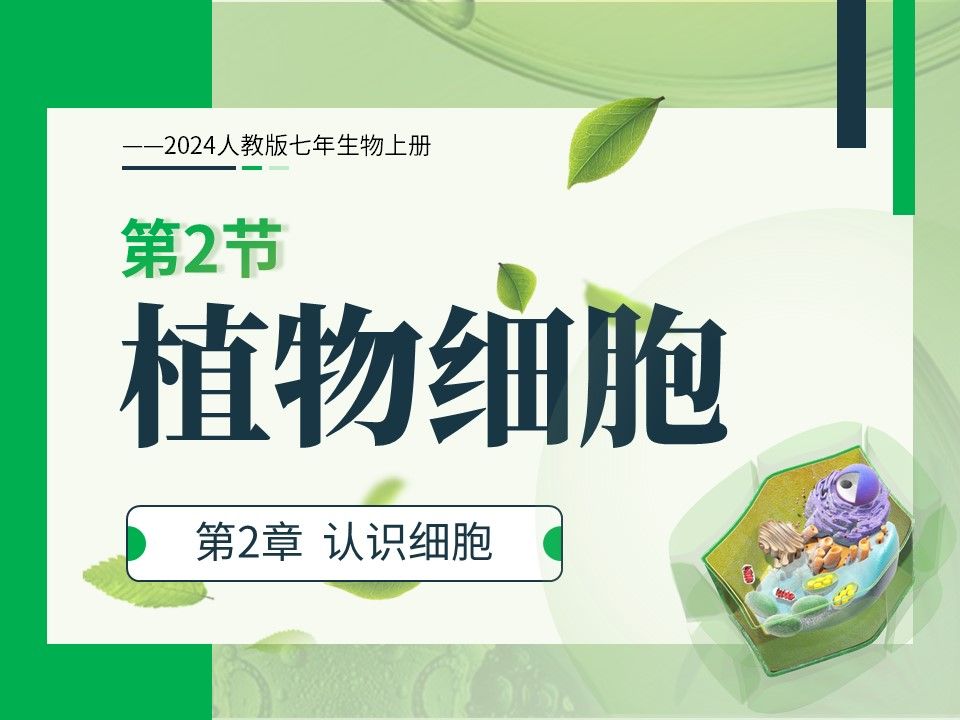 2024新课标七上生物《植物细胞》课件哔哩哔哩bilibili