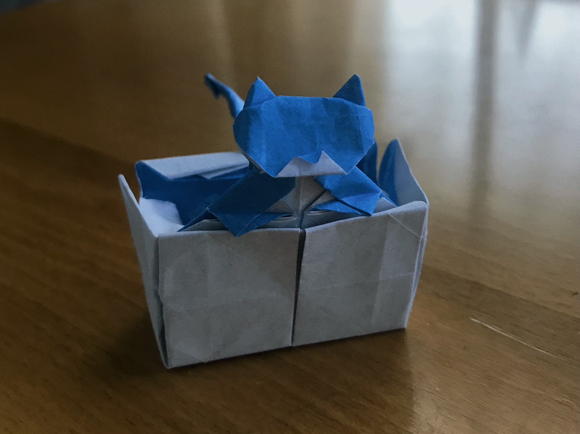 【折纸】箱中的猫