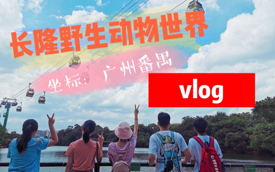 vlog#广州长隆野生动物园一日游哔哩哔哩bilibili