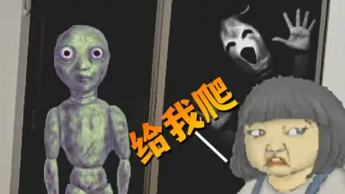 粉五-哔哩哔哩_Bilibili