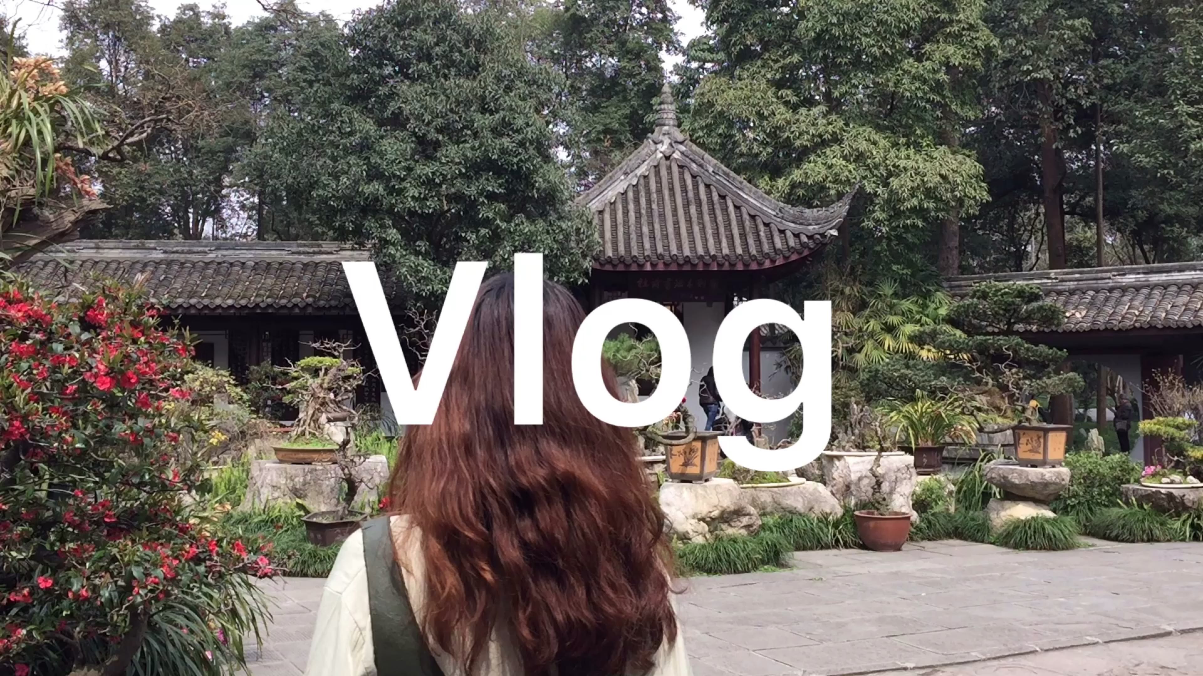 成都旅游vlog | 静音纯背景音乐,感受除美食外另一面的成都 | 大熊猫繁育基地 | 东郊记忆 | 杜甫草堂 | 兰桂坊九眼桥酒吧一条街哔哩哔哩bilibili