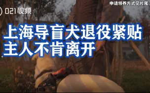 Descargar video: 上海导盲犬退役紧贴主人不肯离开，主人含泪为它寻找领养家庭