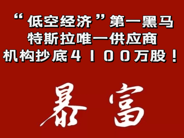 “低空经济”第一黑马,特斯拉唯一供应商,机构抄底4100万股!哔哩哔哩bilibili