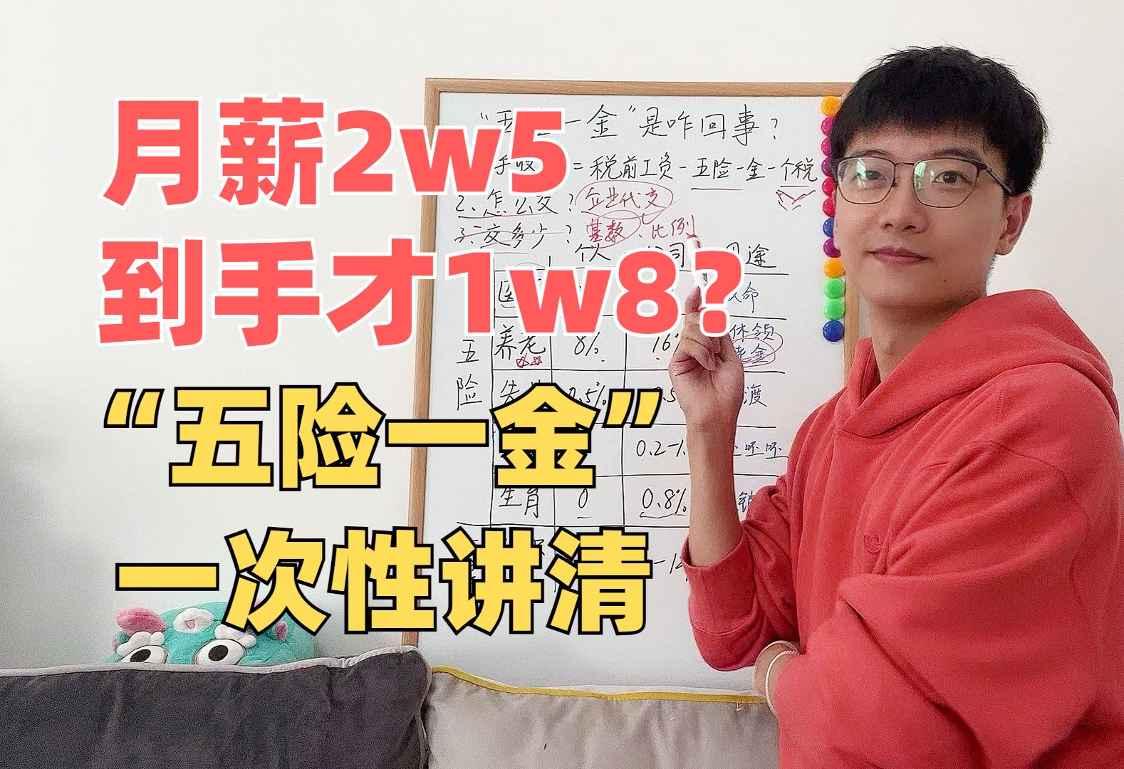 断缴?灵活就业?试用期没有?学校不教你的“五险一金”,一次讲清!哔哩哔哩bilibili